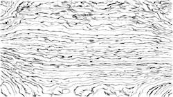 image: an image