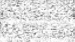 image: an image