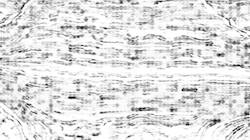 image: an image