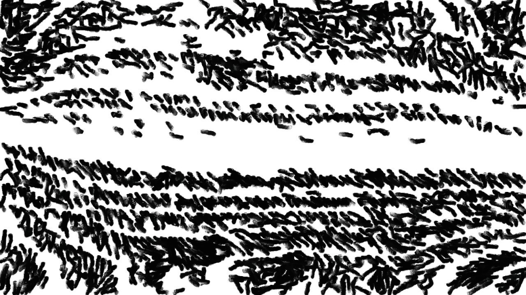 image: an image