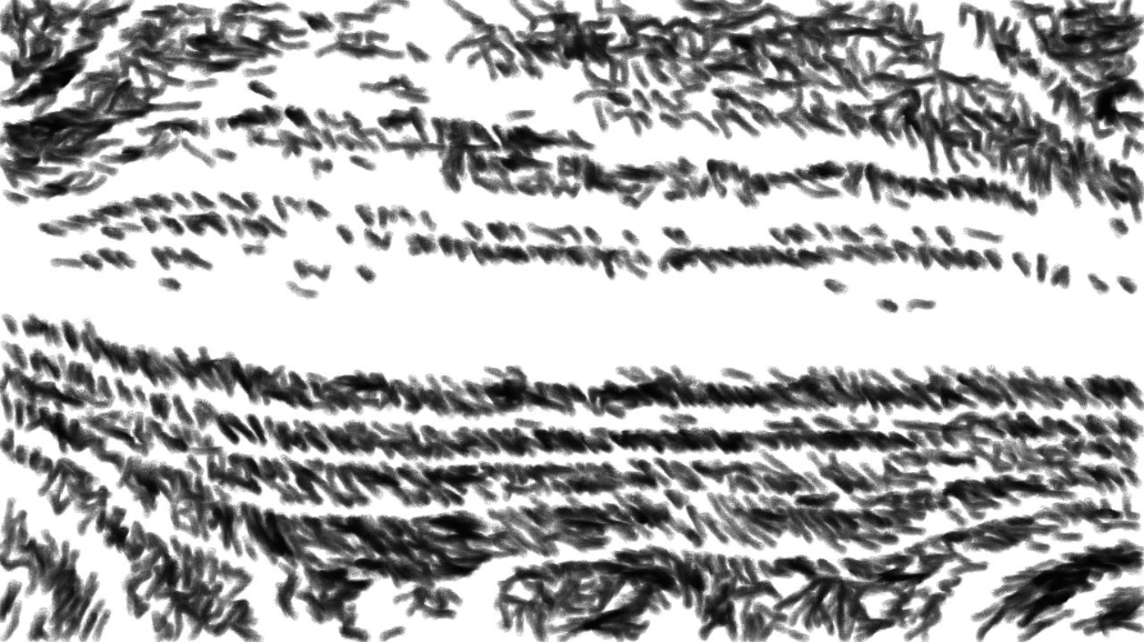 image: an image