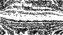 image: an image