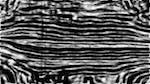Seventh of 'reflets &mdash; msg &mdash; processing effects 0 sketchy 1'.