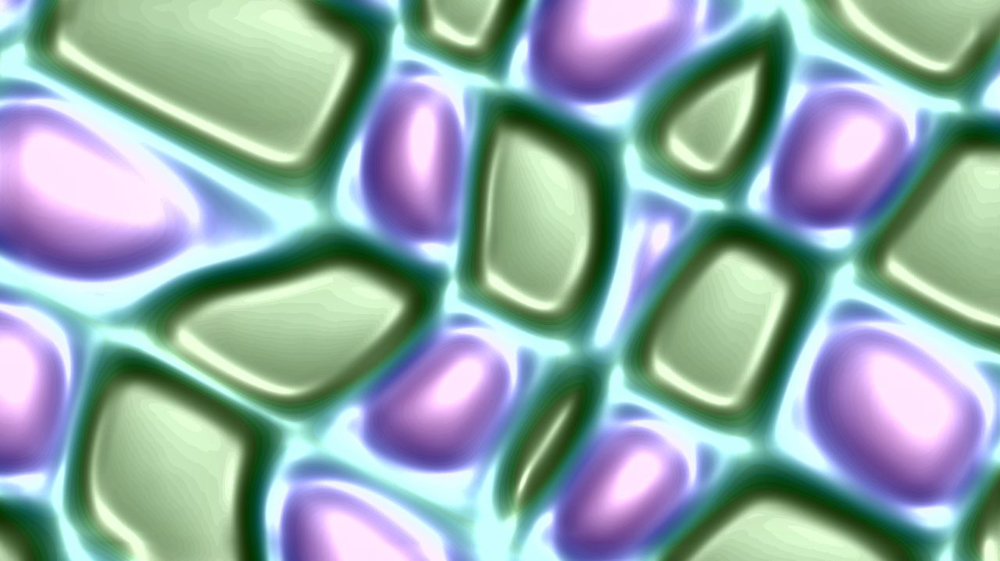 image: an image