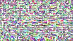image: an image