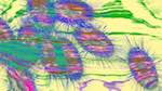 Seventh of 'reflets &mdash; msg &mdash; variations 1 splotches 3'.