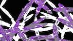 First of 'reflets &mdash; msg &mdash; variations 1 splotches 4'.