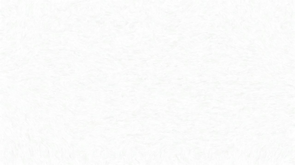 image: an image