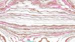Second of 'reflets &mdash; msg &mdash; processing effects 1 source efx 0 1'.
