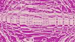 Fourth of 'reflets &mdash; msg &mdash; processing effects 1 source efx 1 2'.
