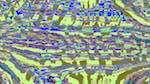 Seventh of 'reflets &mdash; msg &mdash; processing effects 1 source efx 1 4'.