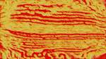 Fourth of 'reflets &mdash; msg &mdash; processing effects 1 source efx 2 4'.