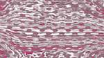Fourth of 'reflets &mdash; msg &mdash; processing effects 1 source grid'.