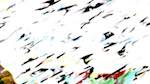 Second of 'reflets &mdash; msg &mdash; processing effects 1 source process 2 1'.