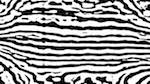 Fifth of 'reflets &mdash; msg &mdash; variations 0 src proc 2'.