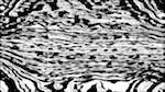 Third of 'reflets &mdash; paint action sequence &mdash; src processing 1'.