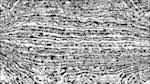 Fifth of 'reflets &mdash; paint action sequence &mdash; src processing 1'.
