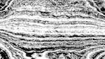 Seventh of 'reflets &mdash; paint action sequence &mdash; src processing 3'.