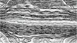 image: an image