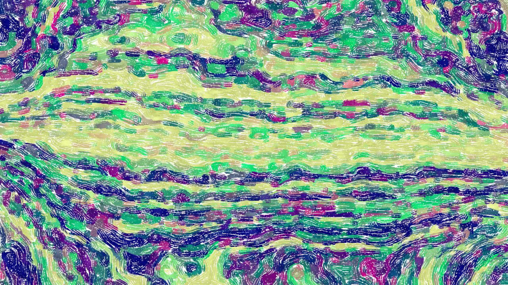 image: an image
