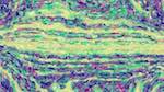 image: an image