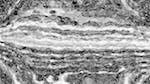 image: an image