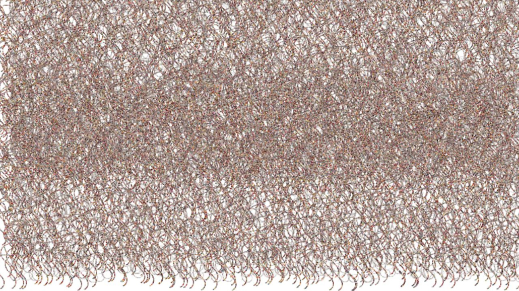 image: an image