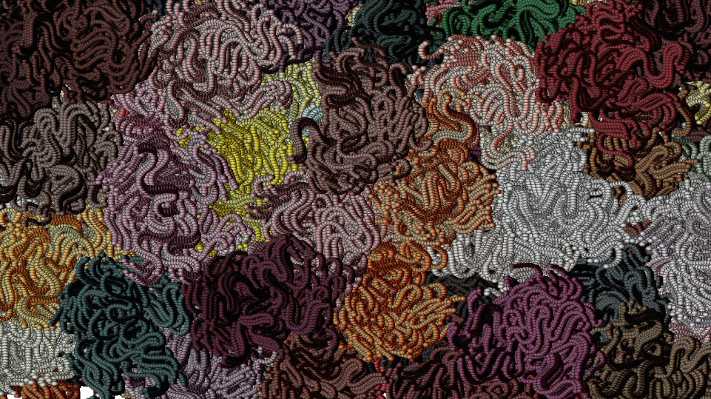 image: an image