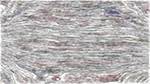 First of 'reflets &mdash; paint action sequence &mdash; skylistic 1'.