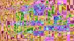 image: an image