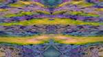 image: an image