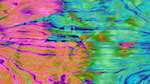 First of 'reflets &mdash; msg &mdash; variations 1 t2 2'.