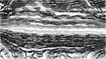 image: an image