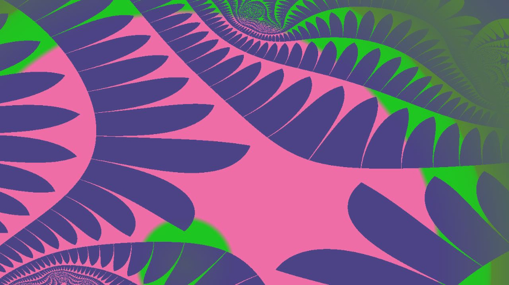 image: an image