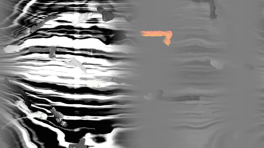 image: an image