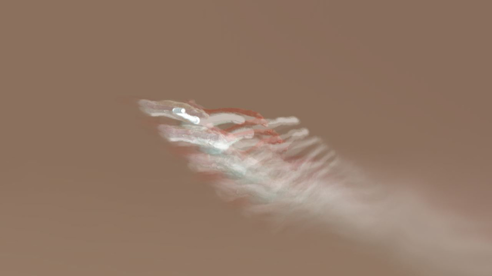image: an image