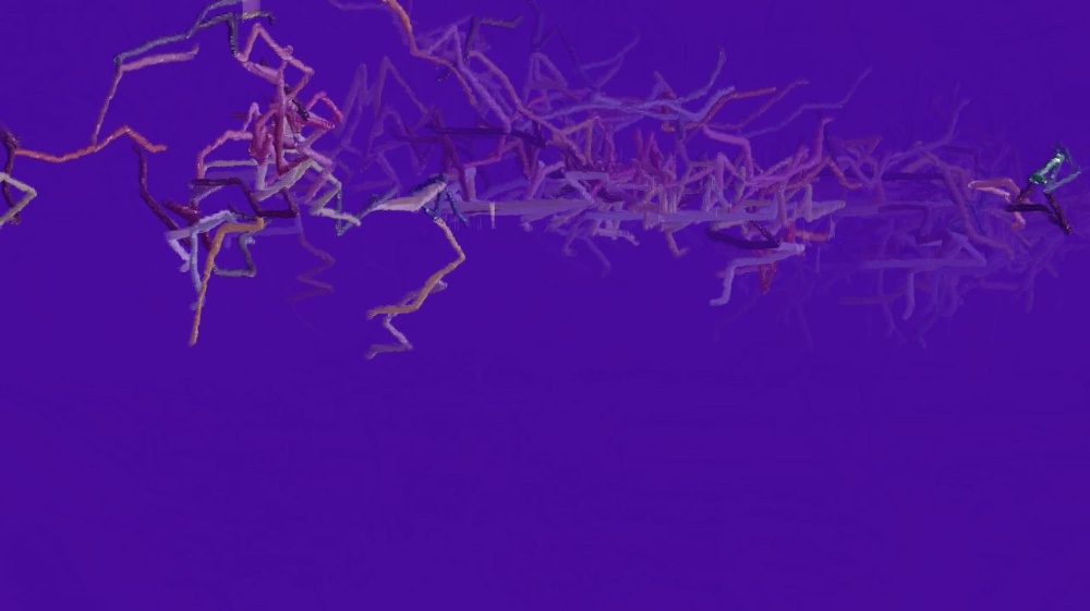 image: an image