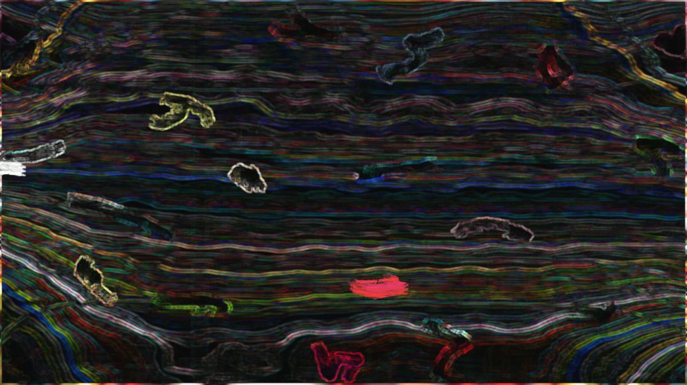 image: an image