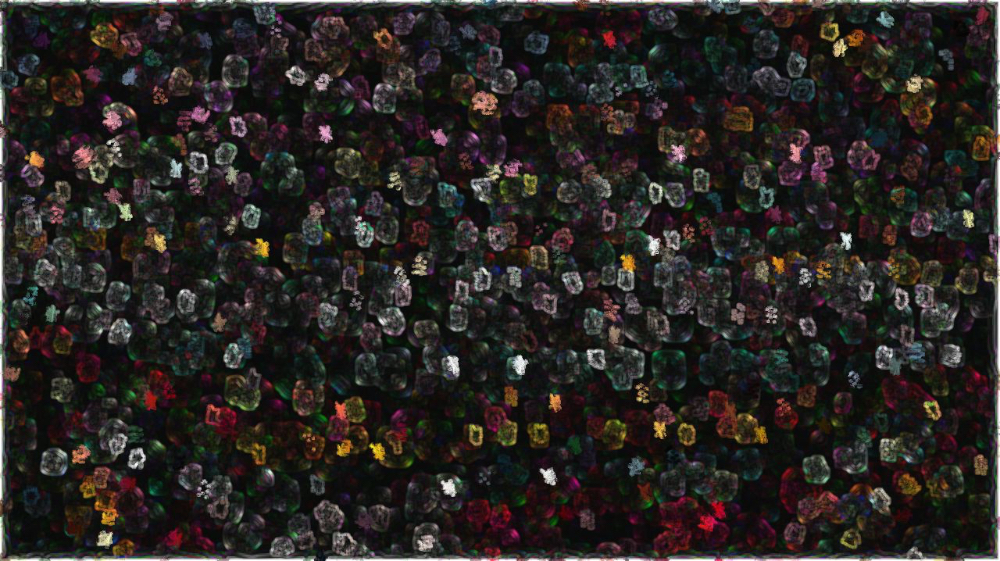 image: an image