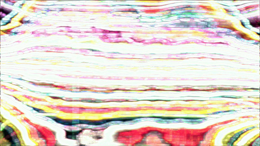 image: an image