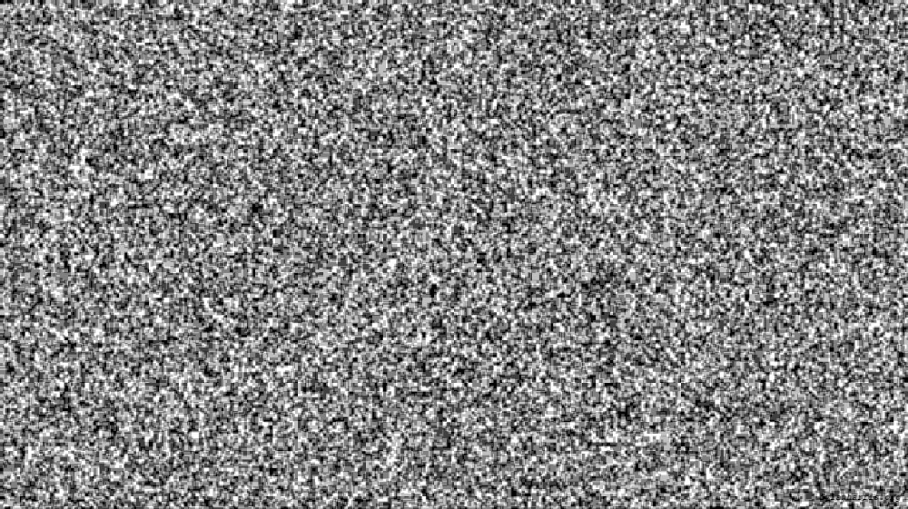 Image 'tg anim test 1 1'.