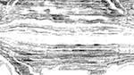 Second of 'reflets &mdash; paint action sequence &mdash; text render'.