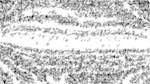 Fourth of 'reflets &mdash; paint action sequence &mdash; text render'.