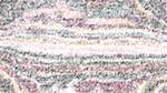 Sixth of 'reflets &mdash; paint action sequence &mdash; text render'.