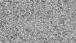 image: an image