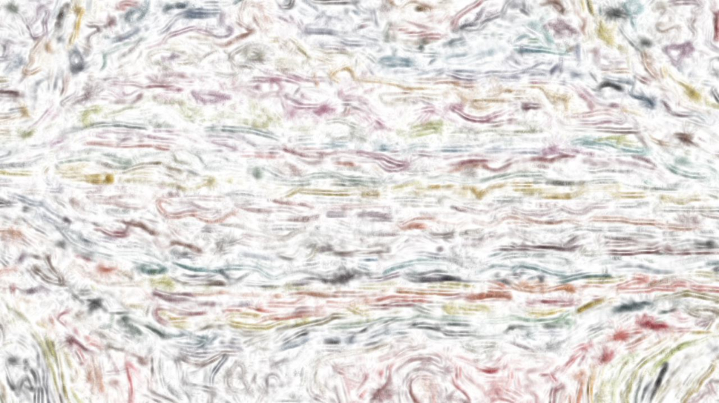 image: an image