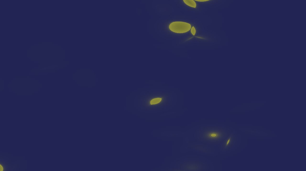 image: an image