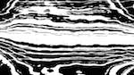 image: an image