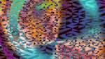 Fifth of 'reflets &mdash; msg &mdash; abstract 1 truchet 1'.