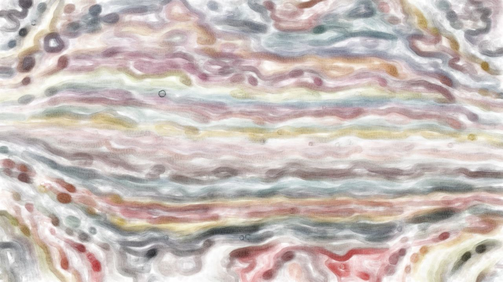image: an image